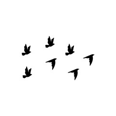 Fototapeta na wymiar Vector silhouette flying birds