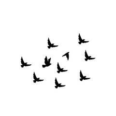 Fototapeta na wymiar Vector silhouette flying birds