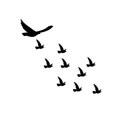 Fototapeta na wymiar Flying birds silhouettes