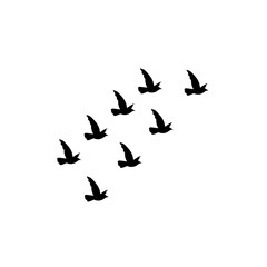 Obraz na płótnie Canvas Flying birds silhouettes