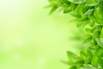 Nature green leaves background, summer foliage background