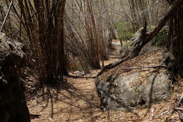 The atmosphere at Batu Cermin, one of the tourist destinations in Labuan Bajo, East Nusa Tenggara, Indonesia. There are caves with stalagmites and stalactites and arid conditions around them.
