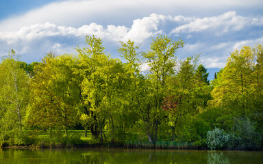Spring landscape at lake, green trees and blue sky clouds
