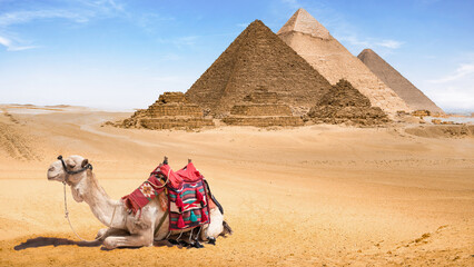 A view of the Pyramids of Giza, Egypt. - obrazy, fototapety, plakaty