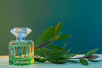 perfume bottle with plants on green background