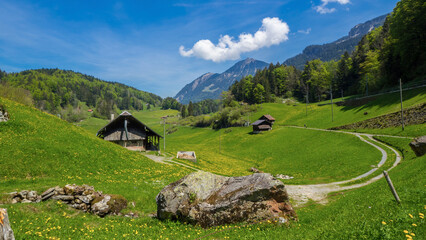 Berglandschaft Schweiz - 597813312