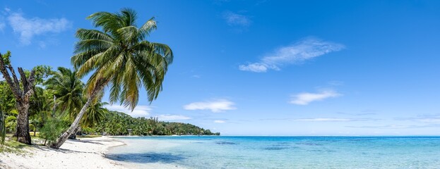Tropical beach panorama as background, Bora Bora, French Polynesia