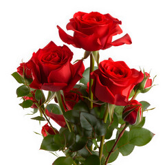 Naklejka premium Red rose isolated on white background created with Generative AI technology.