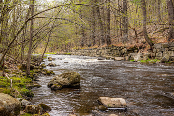 quinapoxet river  flowing throuch the forest