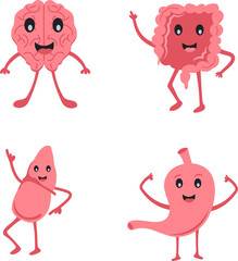 Human Organ Cartoon Character Set Of Brain, Digestive System, Liver and Stomach - obrazy, fototapety, plakaty