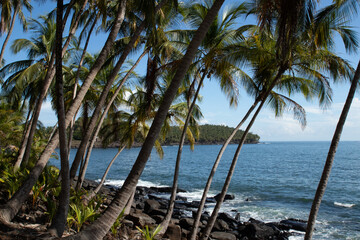 Iles du Salut