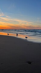 Indiana dunes, Chesterton