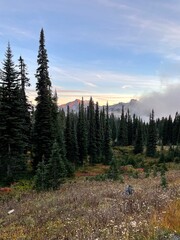 Mount Rainier National Park 