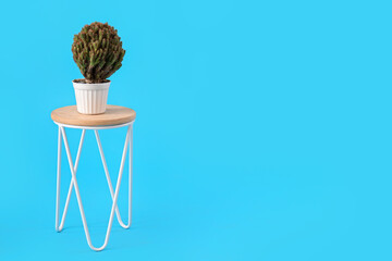 Stool with cacti in pot on blue background