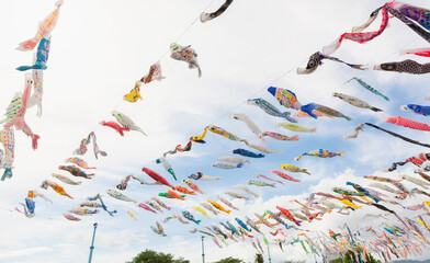 Carp streamers (koinobori) for Children's Day (tango no sekku) flying in the sky