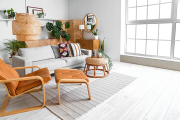 Interior of light living room with sofa, armchair and Monstera houseplant