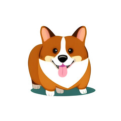 Corgi dog
