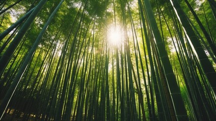 Arashiyama Bamboo Grove. Generative AI.