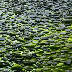 A slippery and slimy texture with wet leaves and algae-covered rocks5, Generative AI