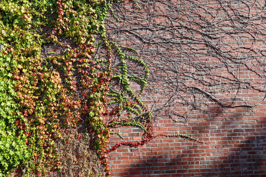 Sunny afternoon in Ballard neighborhood in Seattle, Washington