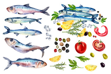 Set of anchovies, sardine and vegetables watercolor illustration isolated on white. Sea fish, sardine, spices, lemon, tomatoes hand drawn. Design element for menu, singage, cookbook, wrapping - obrazy, fototapety, plakaty
