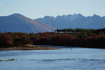 Paisaje patagonico rio y pinos