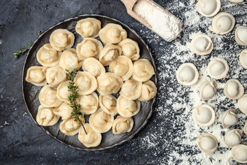 Traditional pelmeni, ravioli, dumplings filled with meat on plate, homemade raw pastry dumplings with meat filling. baking background, banner, menu, recipe place for text, top view