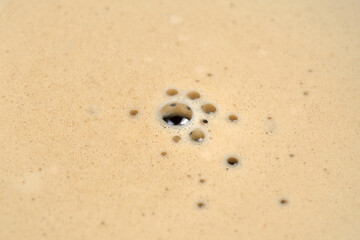 Extreme macro photography of espresso coffee foam
