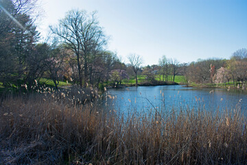 Fototapeta na wymiar Trees and flowers are beginning to bloom around the small lake at Holmdel Park, New Jersey, -10