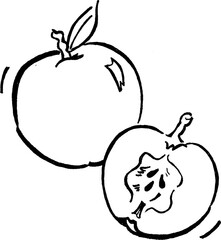 apples illustration
