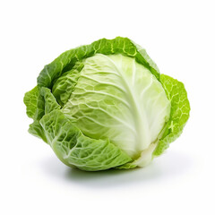 Green cabbage on white background. generate by AI