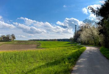 Fototapeta na wymiar Green Bavarian landscape path during Spring time