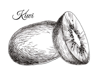 Kiwi illustration in graphics isolated on white background