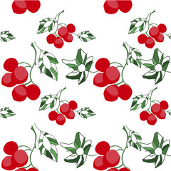 Beautiful decorative pattern of red viburnum berries and leaves on a white background. Traditional Ukrainian symbols