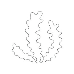Seaweed drawn in one continuous line. One line drawing, minimalism. Vector illustration.