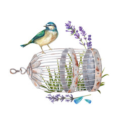 A bluebird sits on a vintage birdcage against a background of grass and flowers. Watercolor illustration in the Provencal style. Botanical illustration. Suitable for postcards, design. leaflets