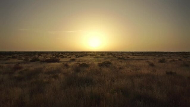 A very beautiful, soft dawn over a field of dry grass. Drone flying low over the ground towards the sun. Semi-arid climate. Earth climate change concept. 