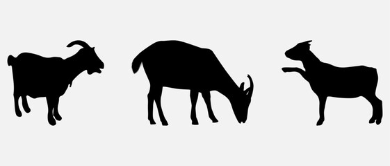 isolated black silhouette of a goat , vector collection