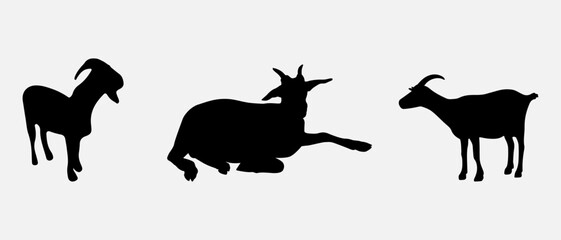 isolated black silhouette of a goat , vector collection