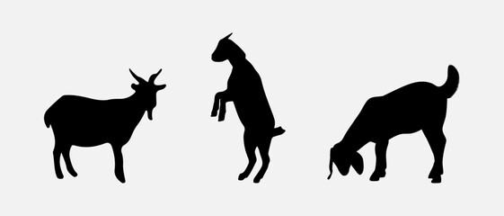 isolated black silhouette of a goat , vector collection