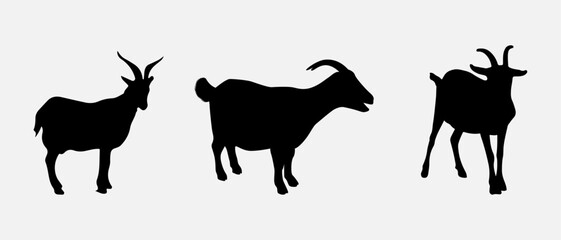 isolated black silhouette of a goat , vector collection