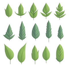 Green Leaf5 Mini Icon For Work