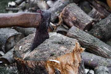Fototapeta premium Axe tool is on the log. Harvesting firewood in the village with hatchet at the evening. Timber on the ground in the countryside. House of farmer and woodcutter. Power of nature vintage retro eco farm.