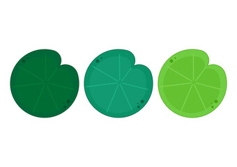 Lily pad icon. Lily cartoon vector on white background.