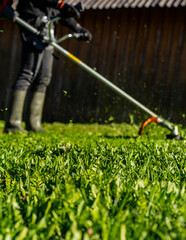 Close up freshly cut grass with gardener in the background trimming the level on a sunny day