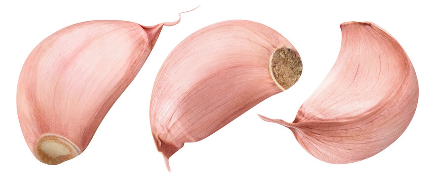 Delicious garlic collection, cut out