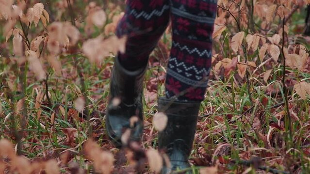 Walking in rubber boots through autumn leaves. Forest walk with high quality binaural sound.