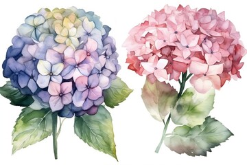 Watercolor floral bouquet of a blue, purple and white hydrangea with green blush leaves, for wedding invitations, greetings, wallpapers, fashion, prints. flowers. AI Generated	
