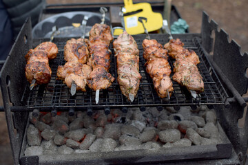 Juicy chicken meat on skewers. Camping
