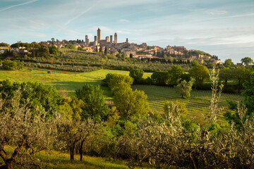 Fototapeta na wymiar Panorama of San Gimignano town in Tuscany, Italy